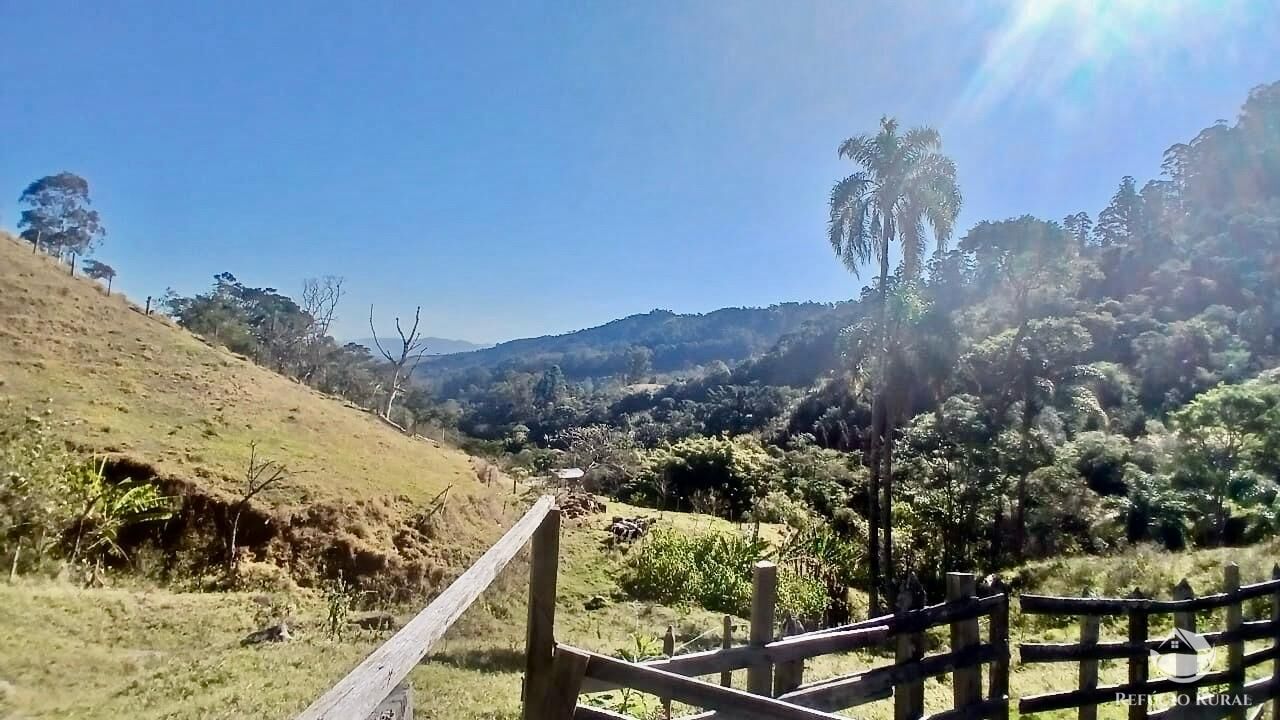 Terreno, 60 hectares - Foto 3