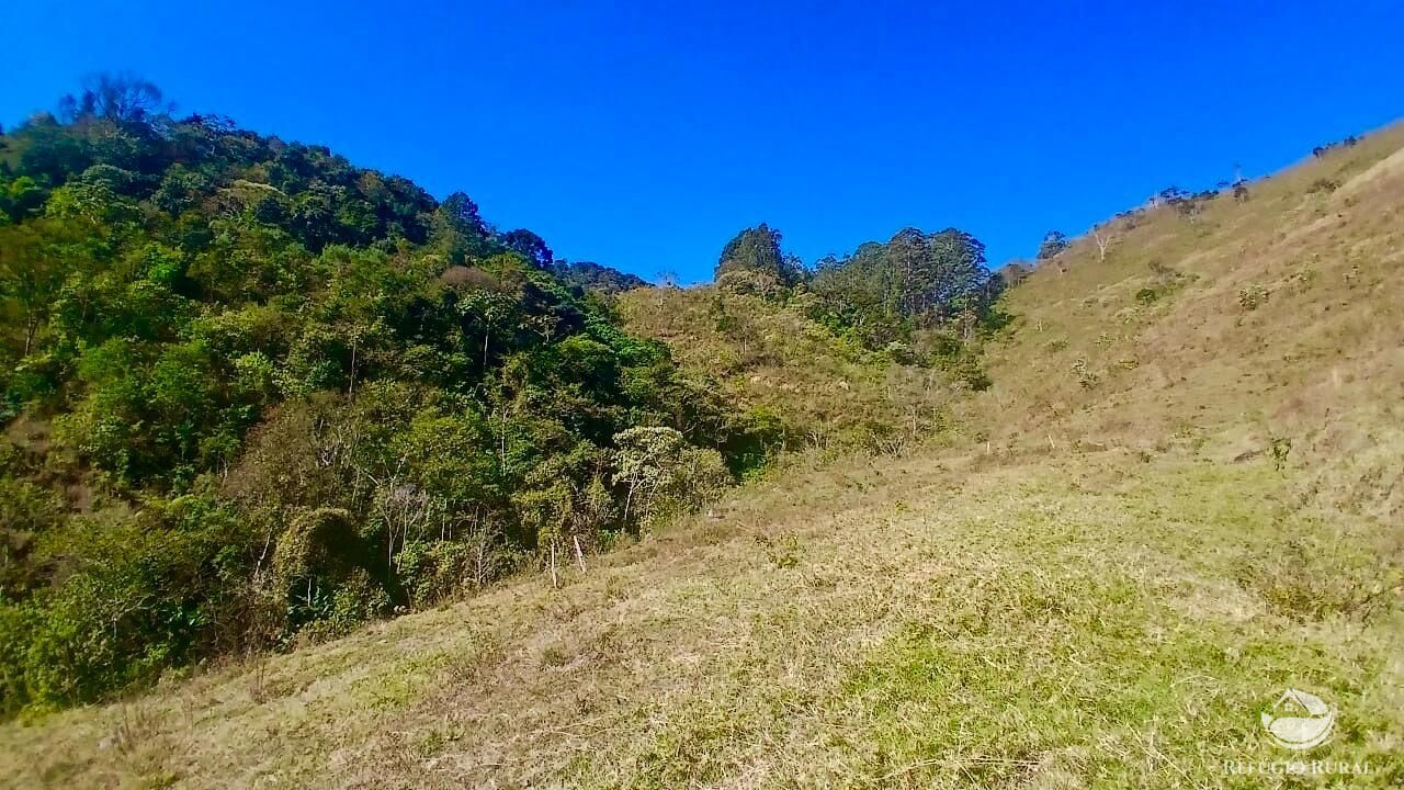 Terreno, 60 hectares - Foto 7