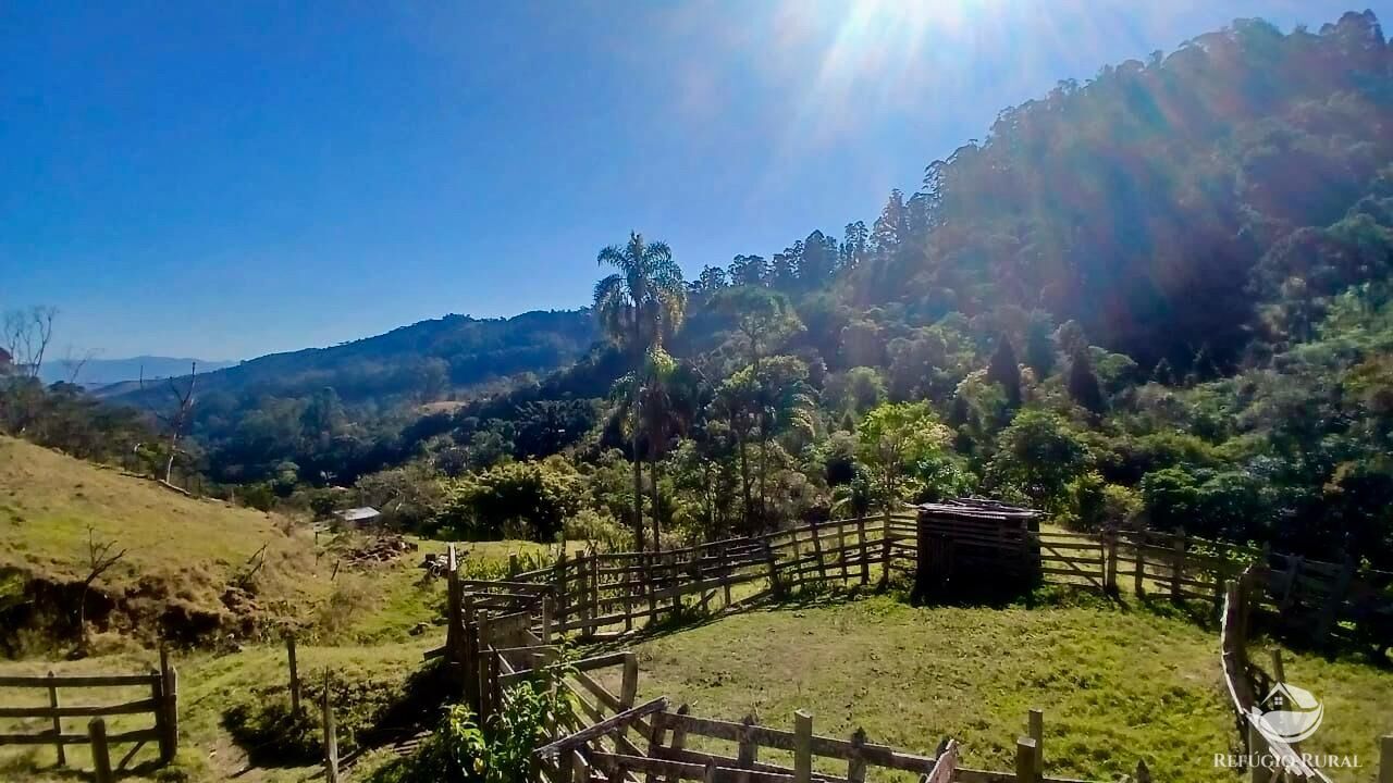 Terreno, 60 hectares - Foto 2