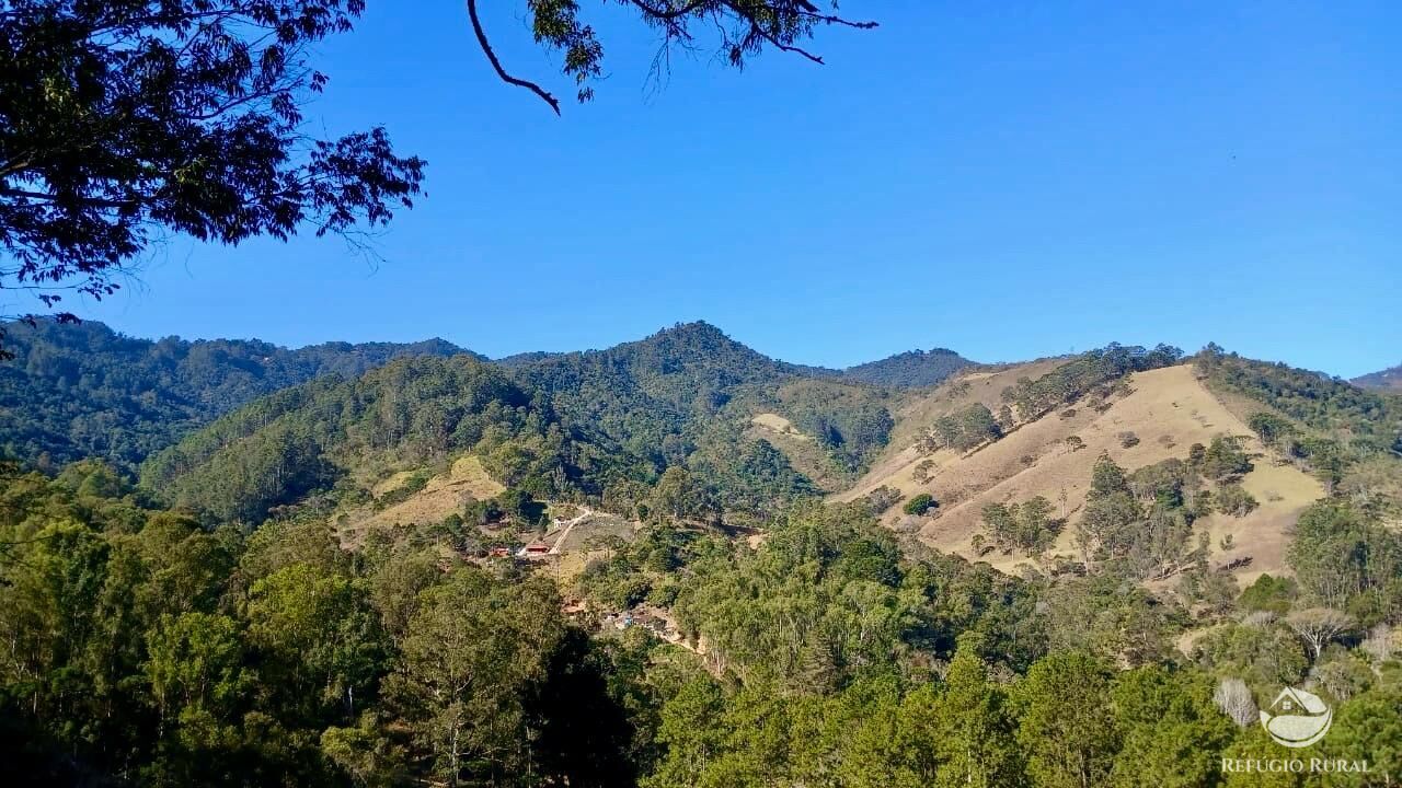 Terreno, 60 hectares - Foto 5