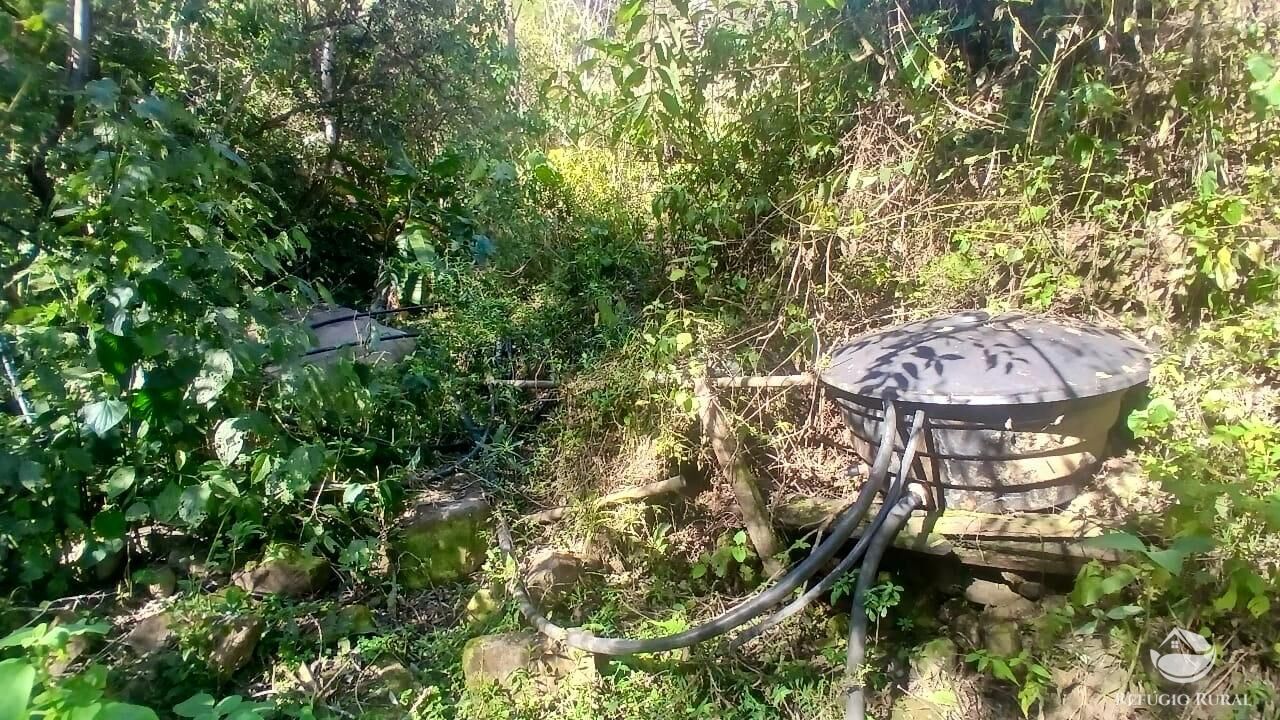 Terreno, 60 hectares - Foto 15