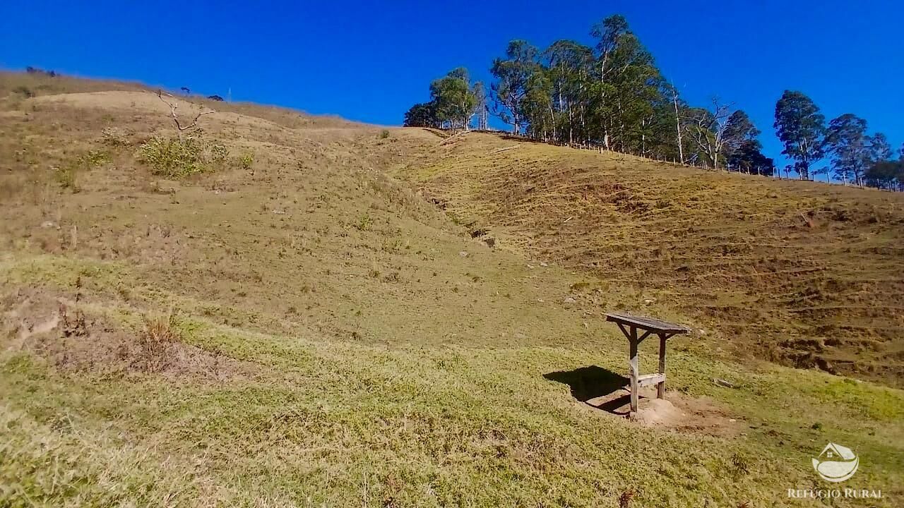 Terreno, 60 hectares - Foto 9