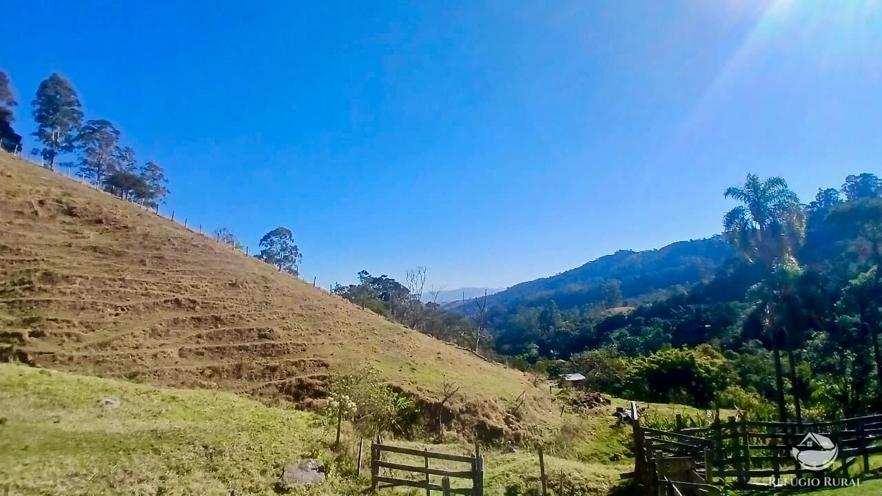 Terreno, 60 hectares - Foto 10