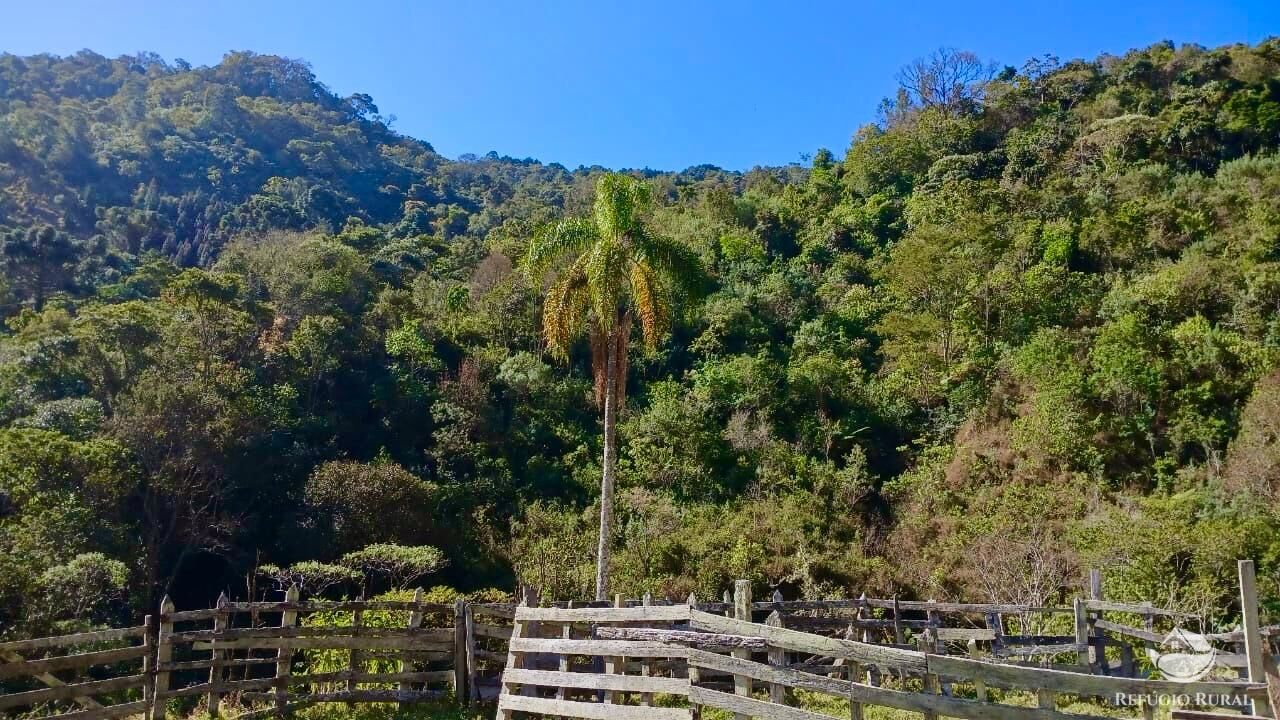 Terreno, 60 hectares - Foto 14