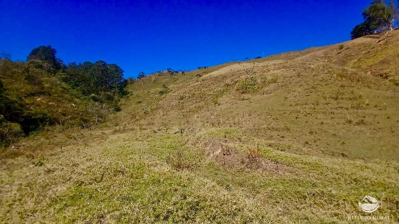 Terreno, 60 hectares - Foto 1