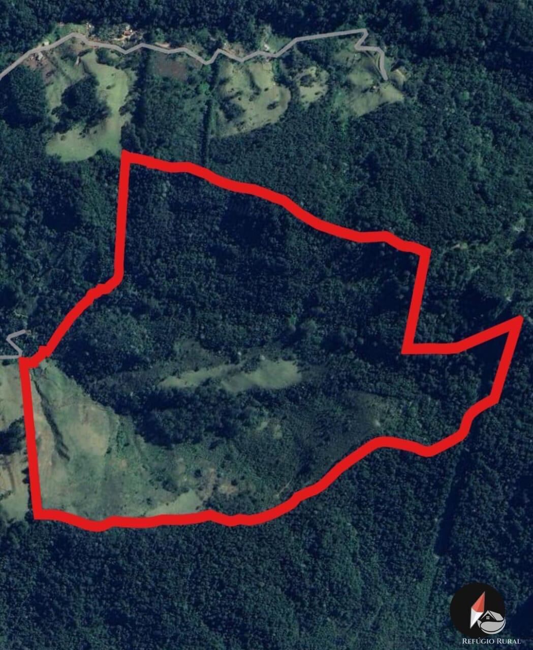 Terreno, 60 hectares - Foto 19