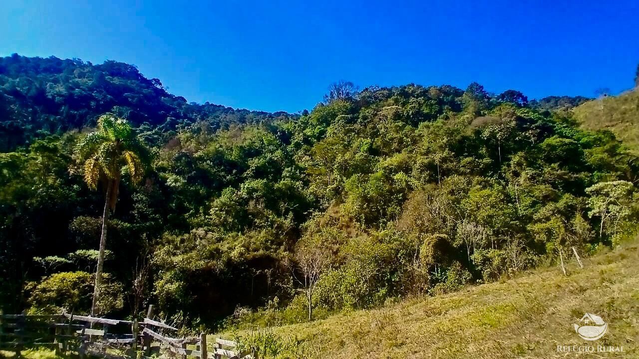 Terreno, 60 hectares - Foto 6