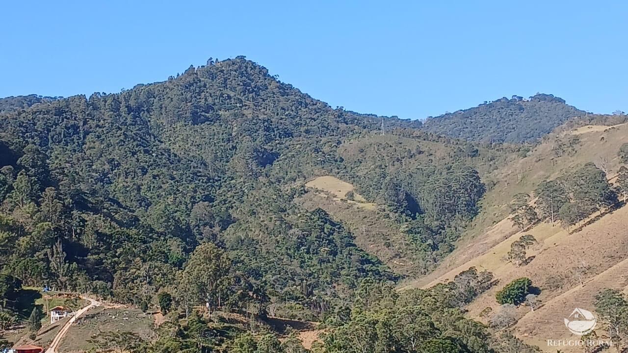 Terreno, 60 hectares - Foto 4