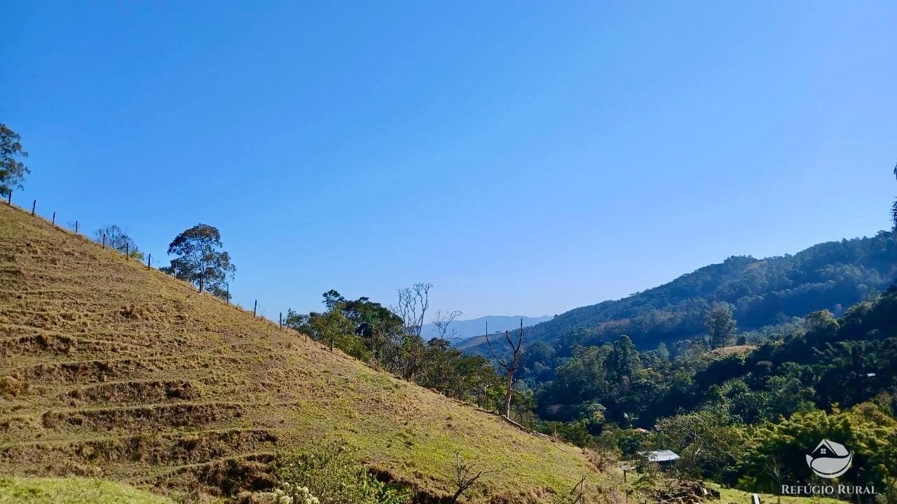 Terreno, 60 hectares - Foto 11