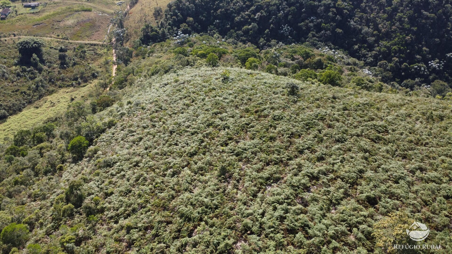 Terreno, 7 hectares - Foto 14