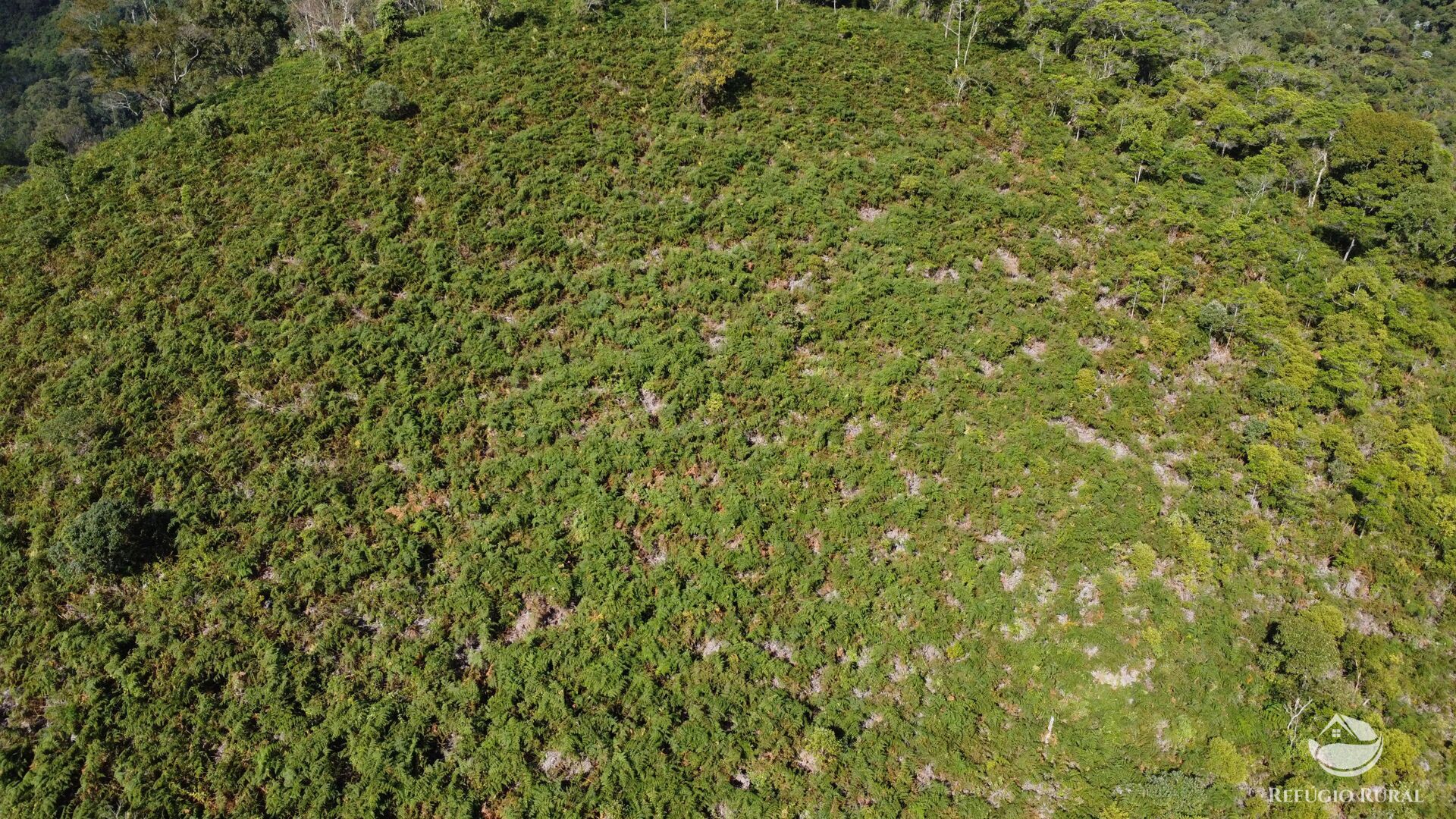 Terreno, 7 hectares - Foto 3