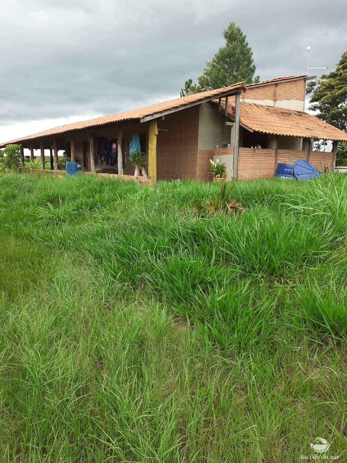 Fazenda à venda com 2 quartos, 34000m² - Foto 36