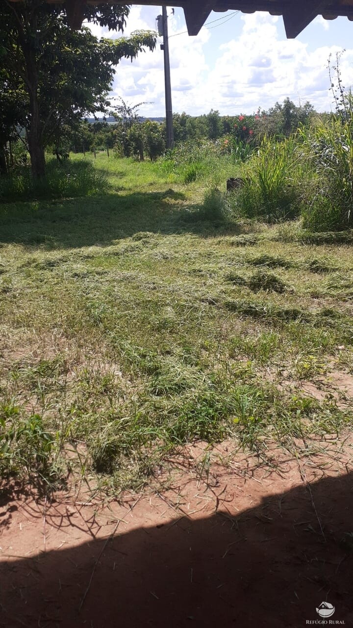 Fazenda à venda com 2 quartos, 34000m² - Foto 18