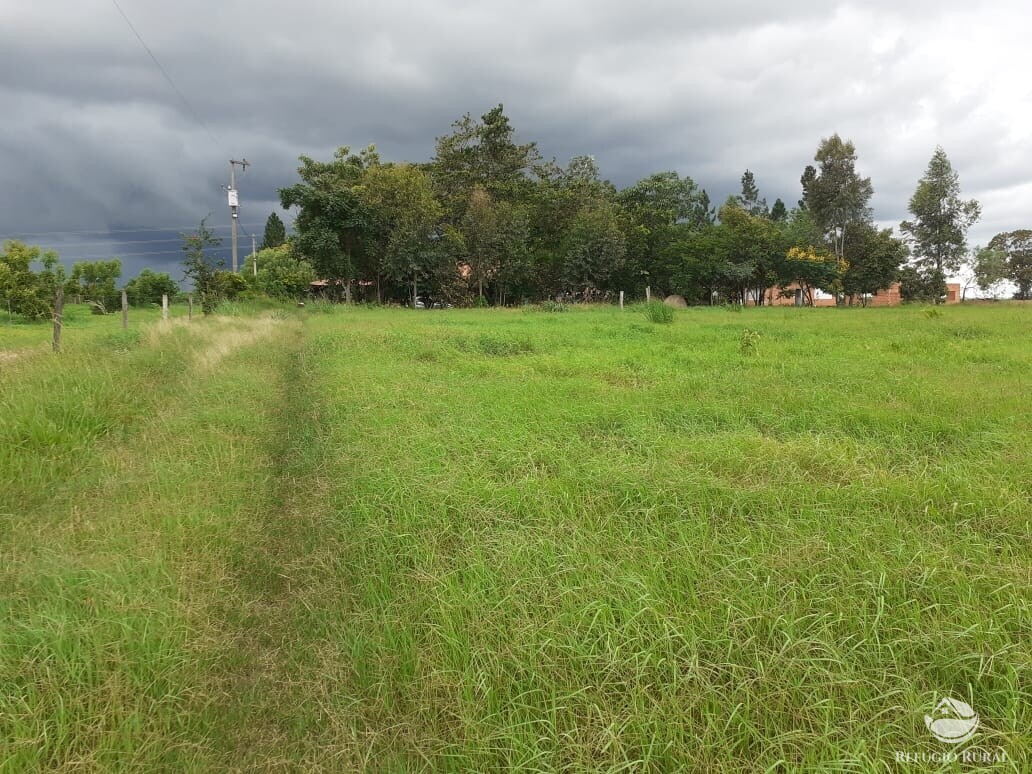 Fazenda à venda com 2 quartos, 34000m² - Foto 38