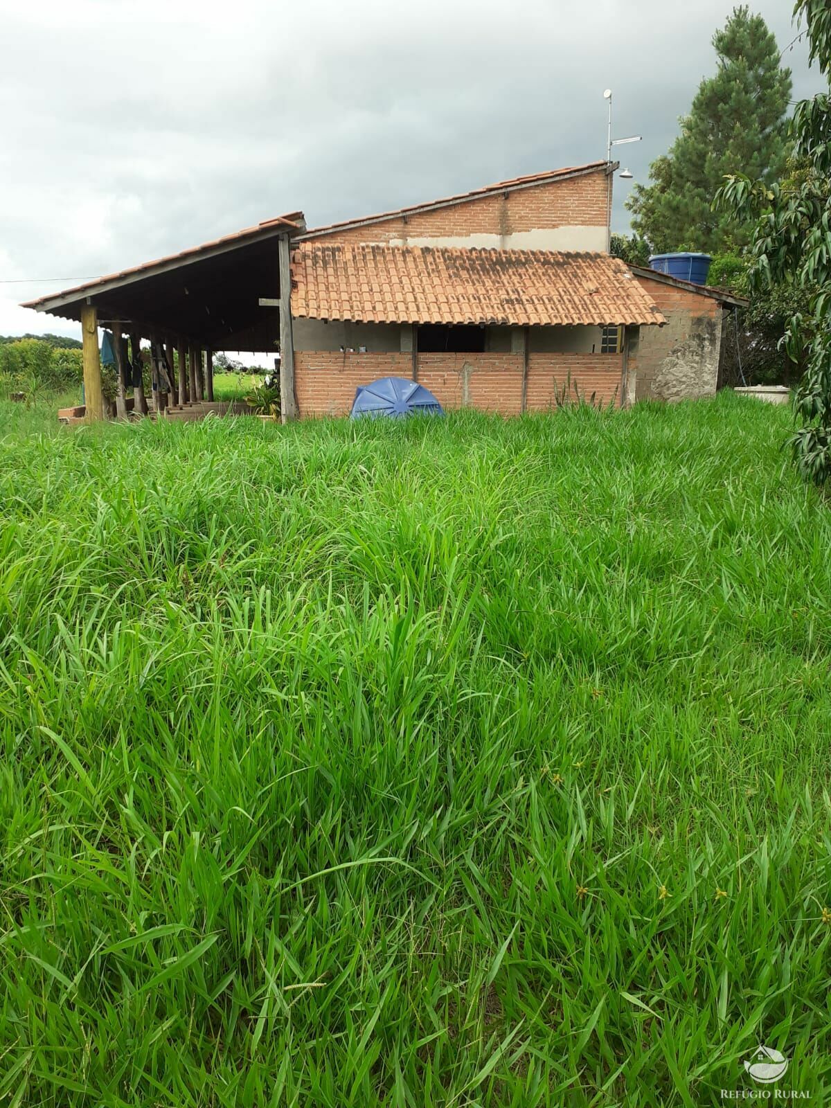 Fazenda à venda com 2 quartos, 34000m² - Foto 4