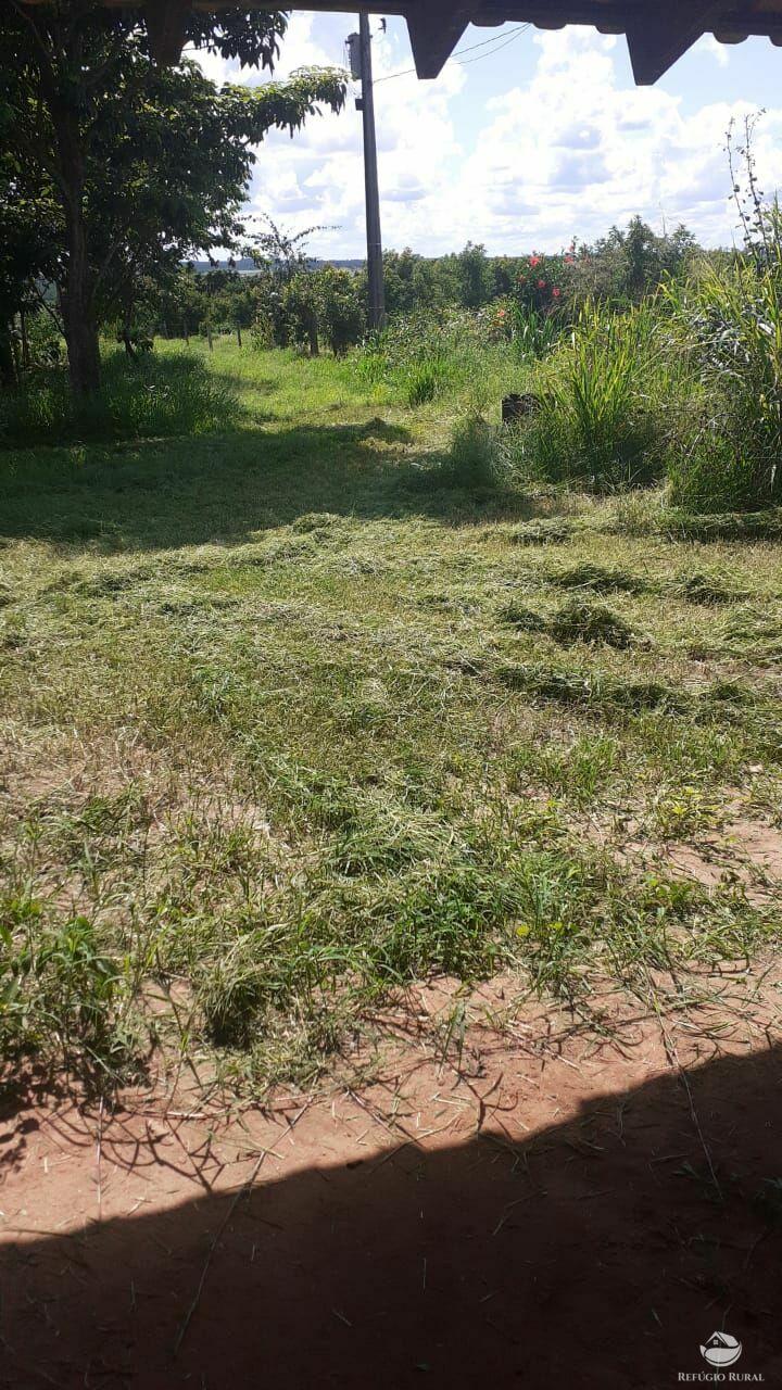 Fazenda à venda com 2 quartos, 34000m² - Foto 12