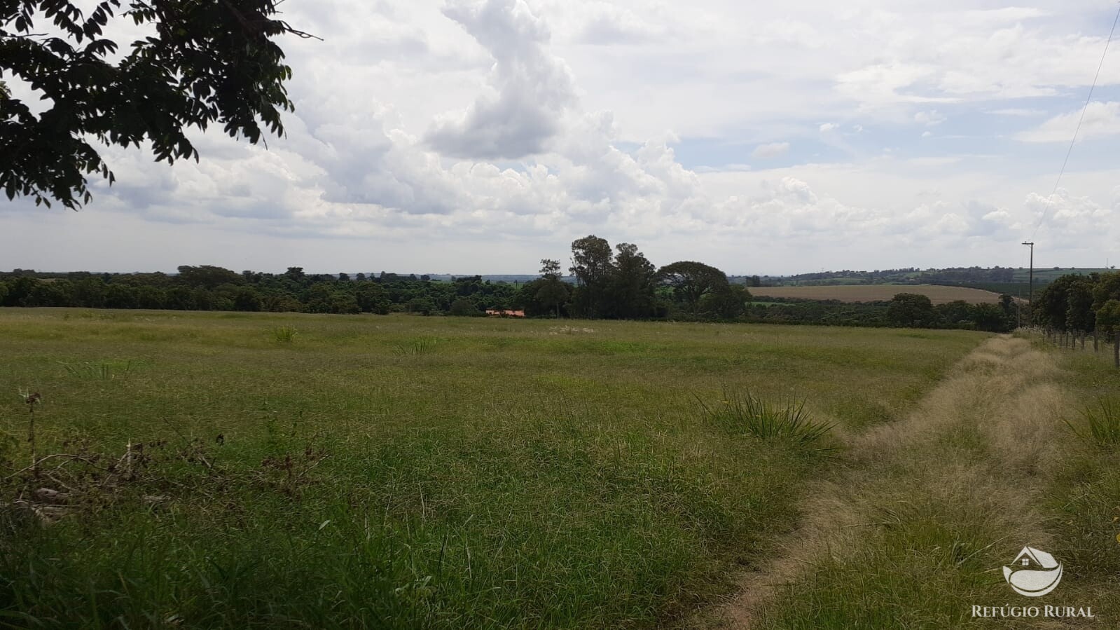 Fazenda à venda com 2 quartos, 34000m² - Foto 41