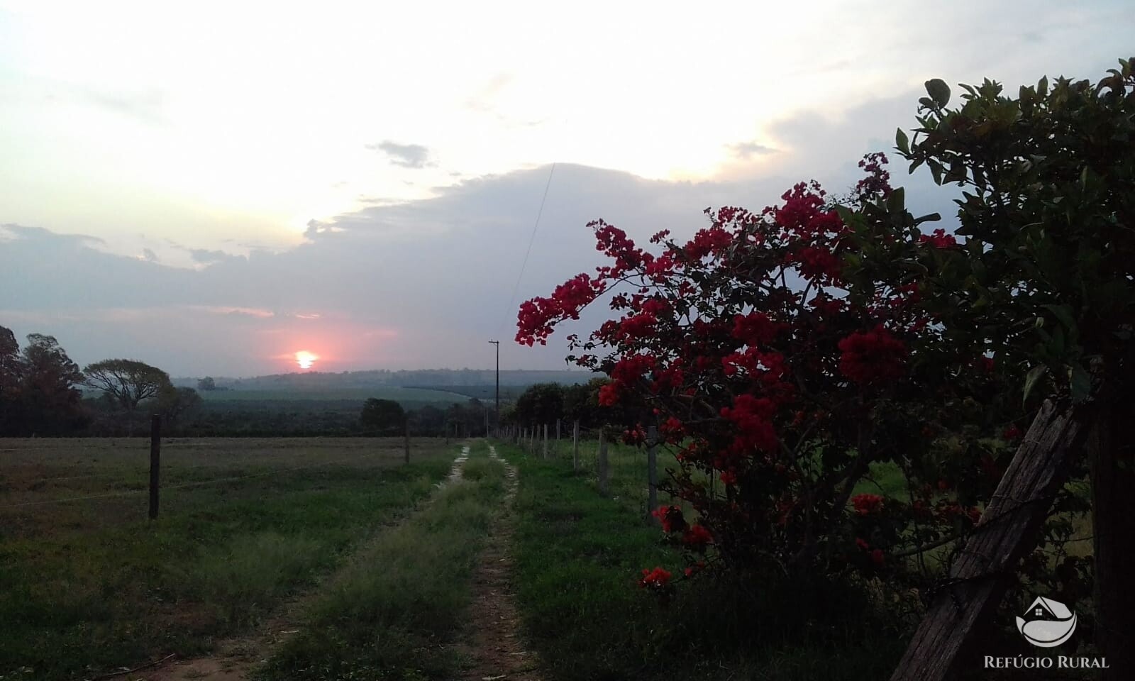 Fazenda à venda com 2 quartos, 34000m² - Foto 8