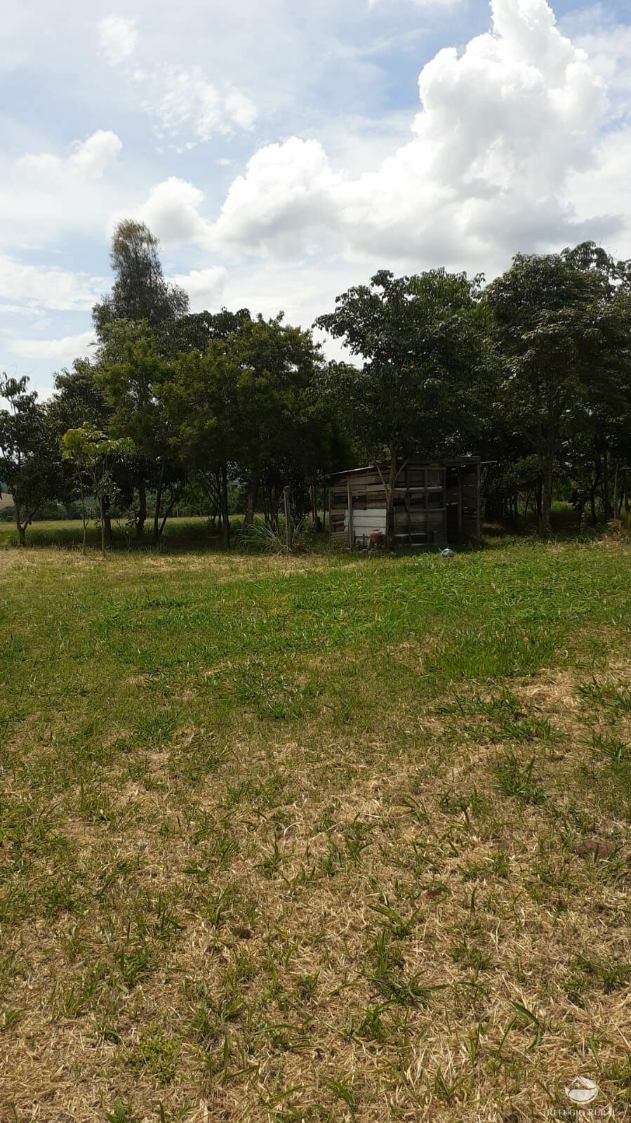 Fazenda à venda com 2 quartos, 34000m² - Foto 14