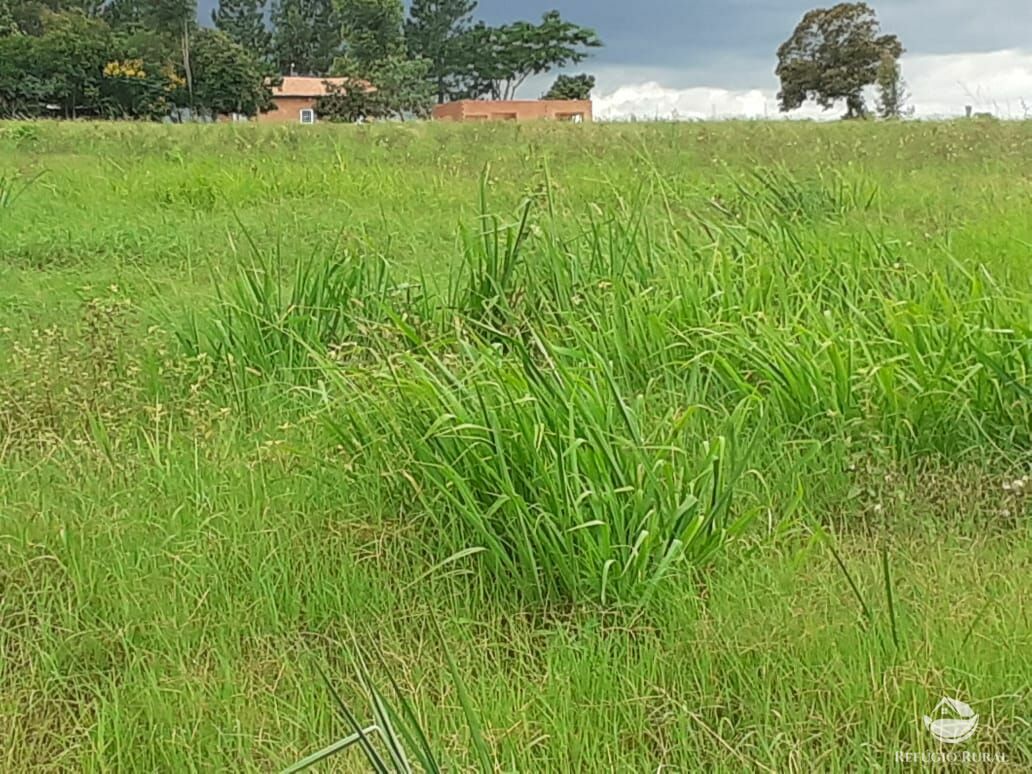 Fazenda à venda com 2 quartos, 34000m² - Foto 9