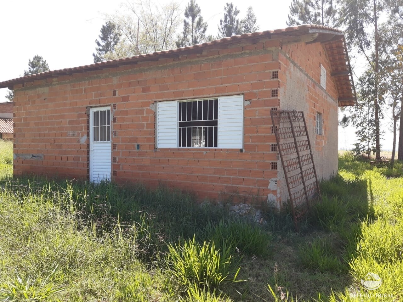 Fazenda à venda com 2 quartos, 34000m² - Foto 32