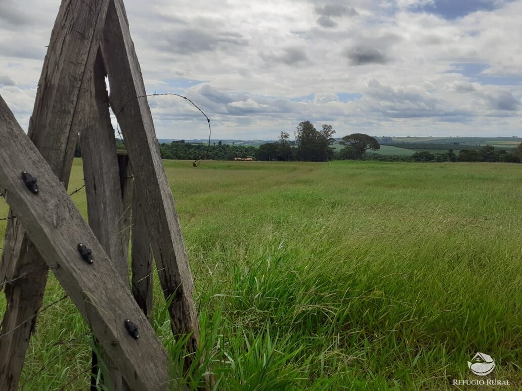 Fazenda à venda com 2 quartos, 34000m² - Foto 23