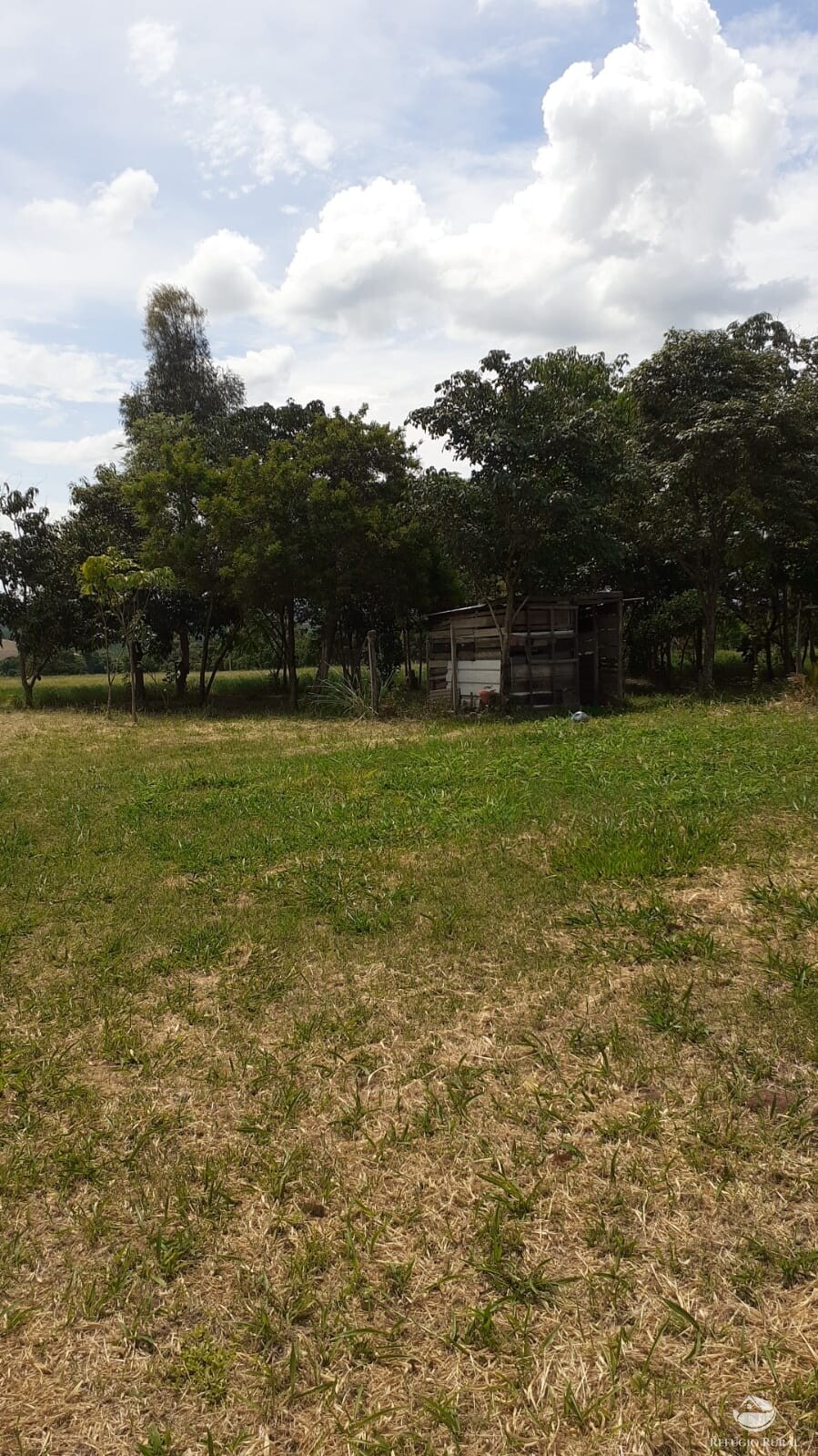 Fazenda à venda com 2 quartos, 34000m² - Foto 39