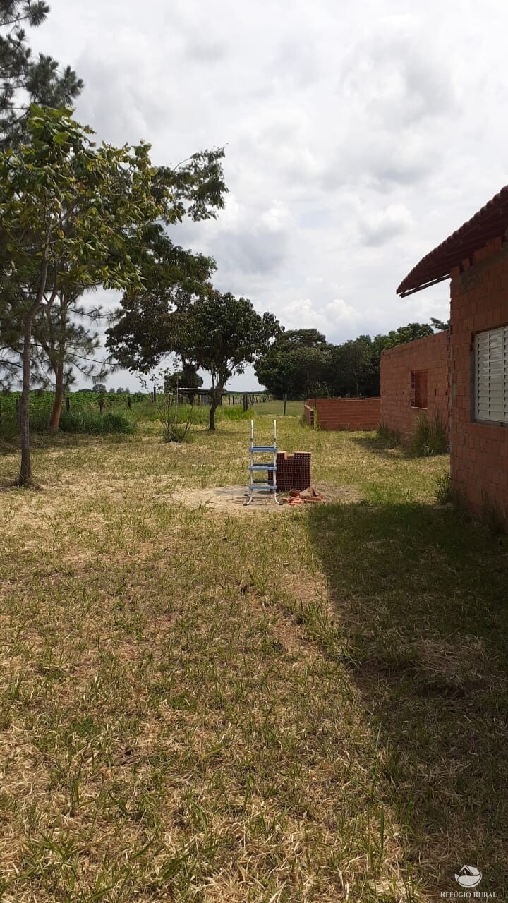 Fazenda à venda com 2 quartos, 34000m² - Foto 40