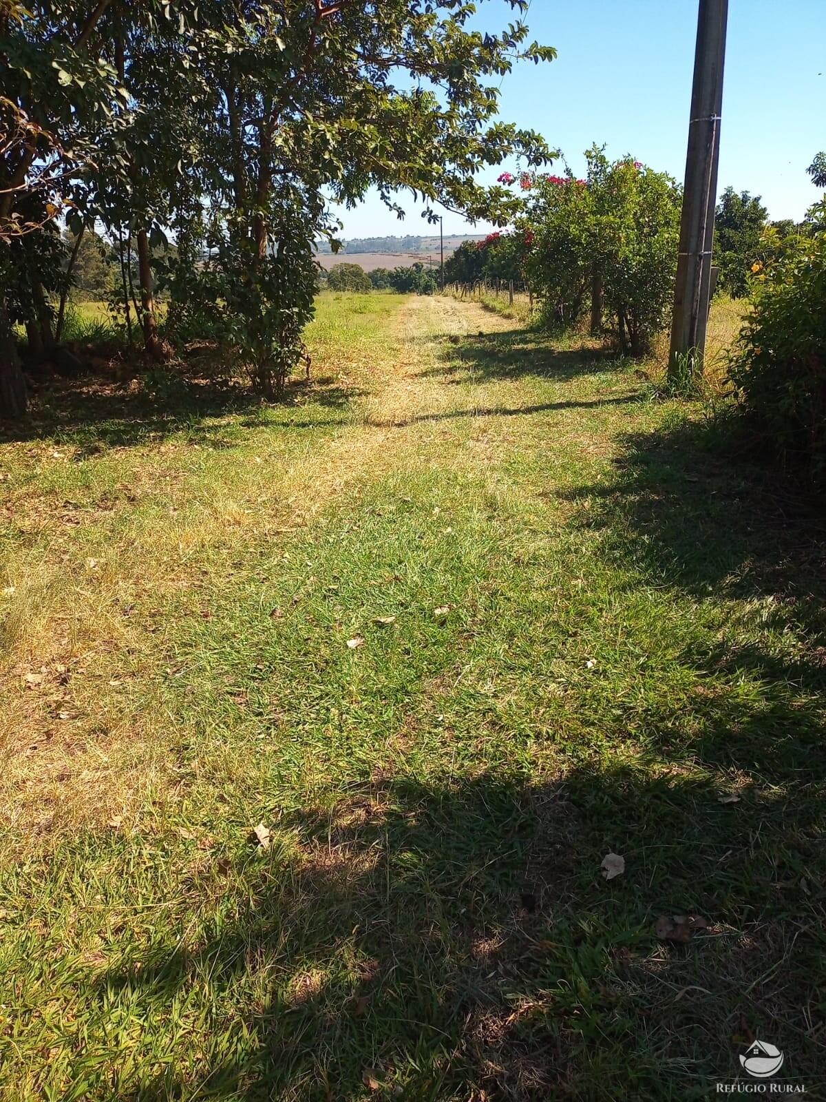 Fazenda à venda com 2 quartos, 34000m² - Foto 35