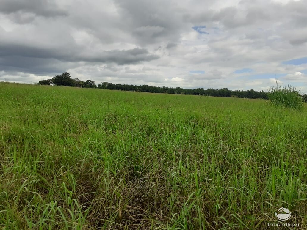 Fazenda à venda com 2 quartos, 34000m² - Foto 22