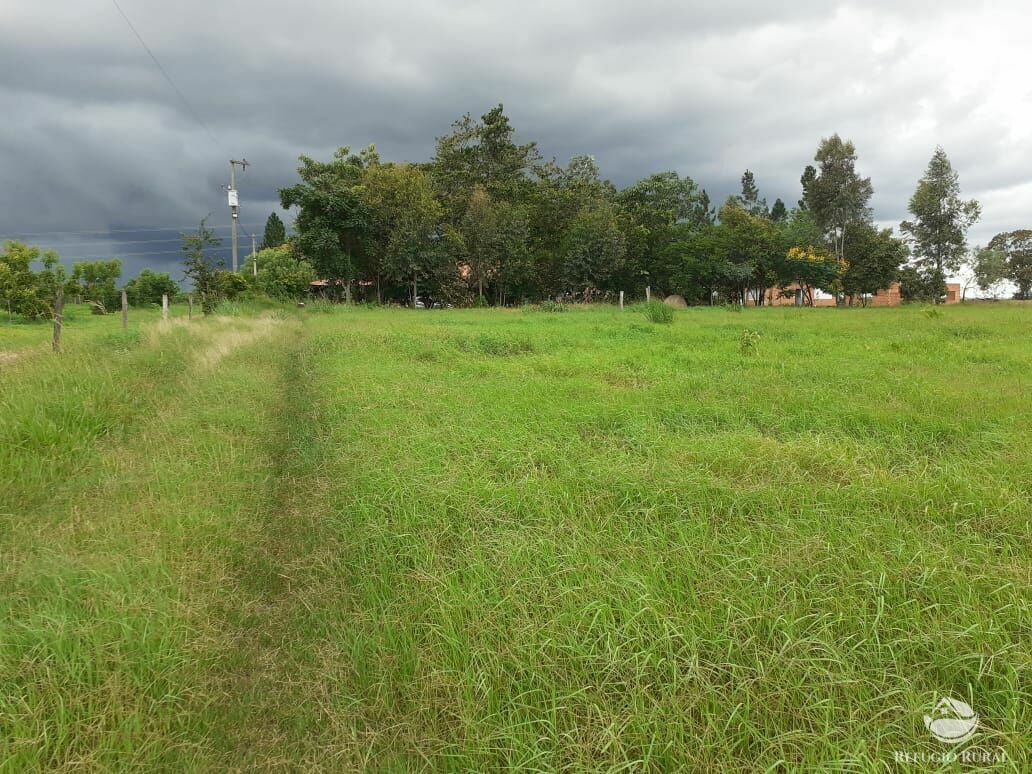 Fazenda à venda com 2 quartos, 34000m² - Foto 11