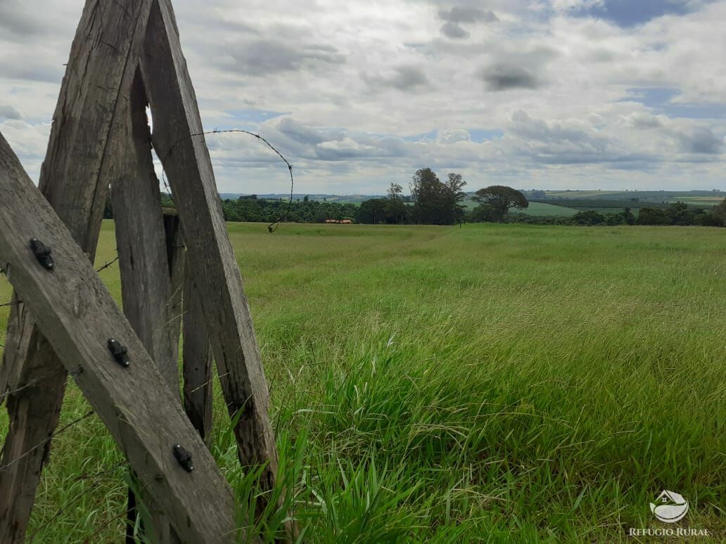 Fazenda à venda com 2 quartos, 34000m² - Foto 10