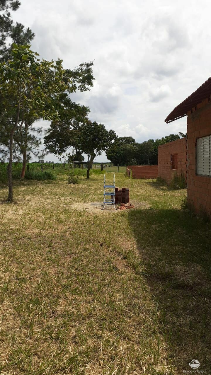 Fazenda à venda com 2 quartos, 34000m² - Foto 16