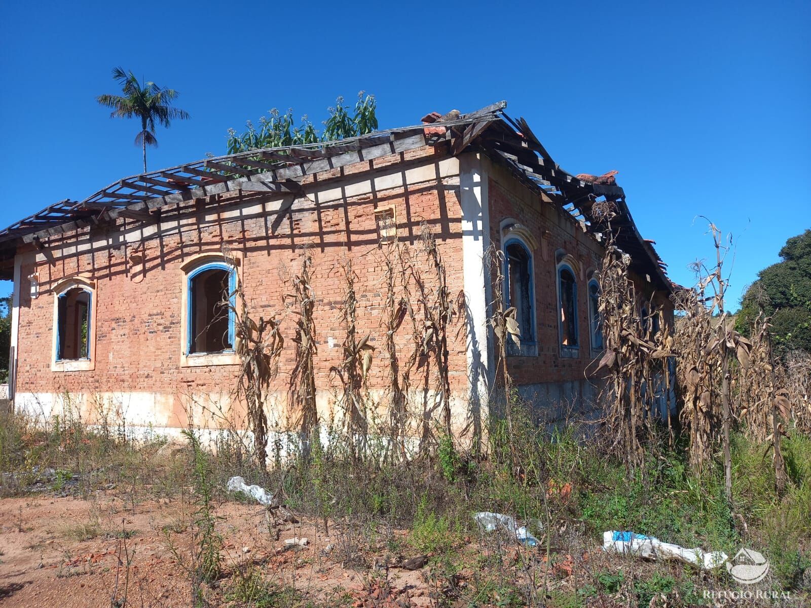 Fazenda à venda com 3 quartos, 1113200m² - Foto 32