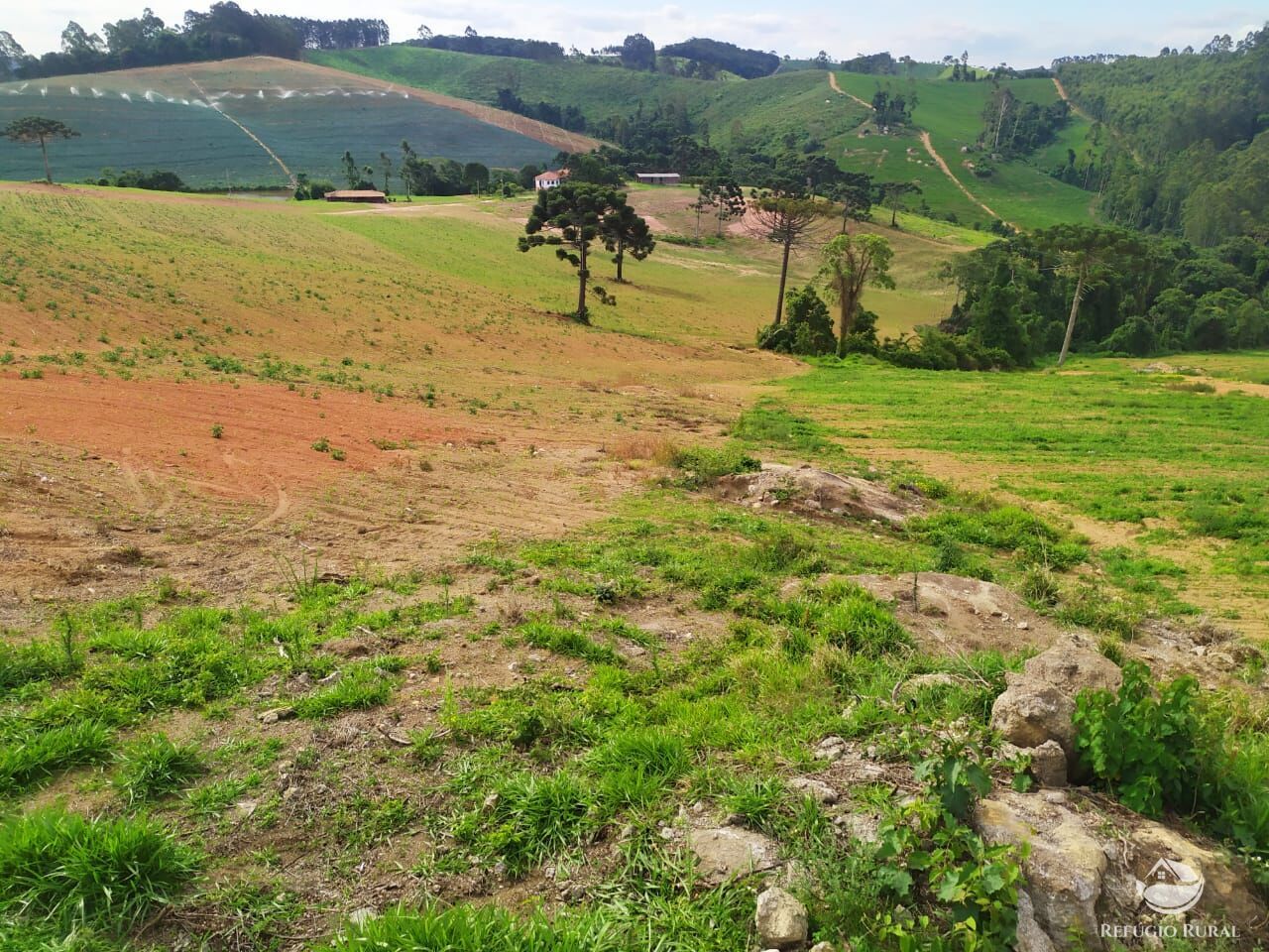 Fazenda à venda com 3 quartos, 1113200m² - Foto 7