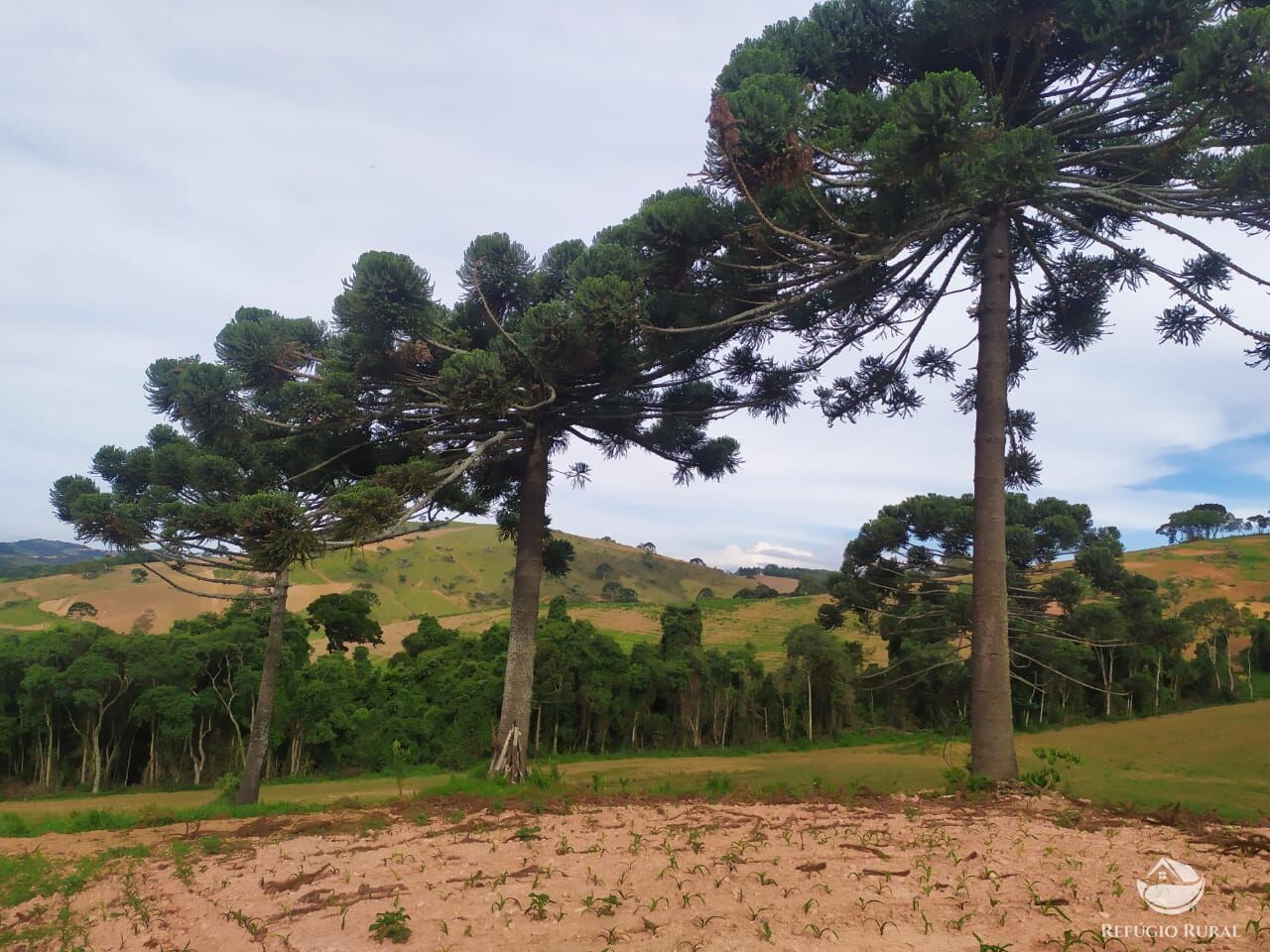 Fazenda à venda com 3 quartos, 1113200m² - Foto 5