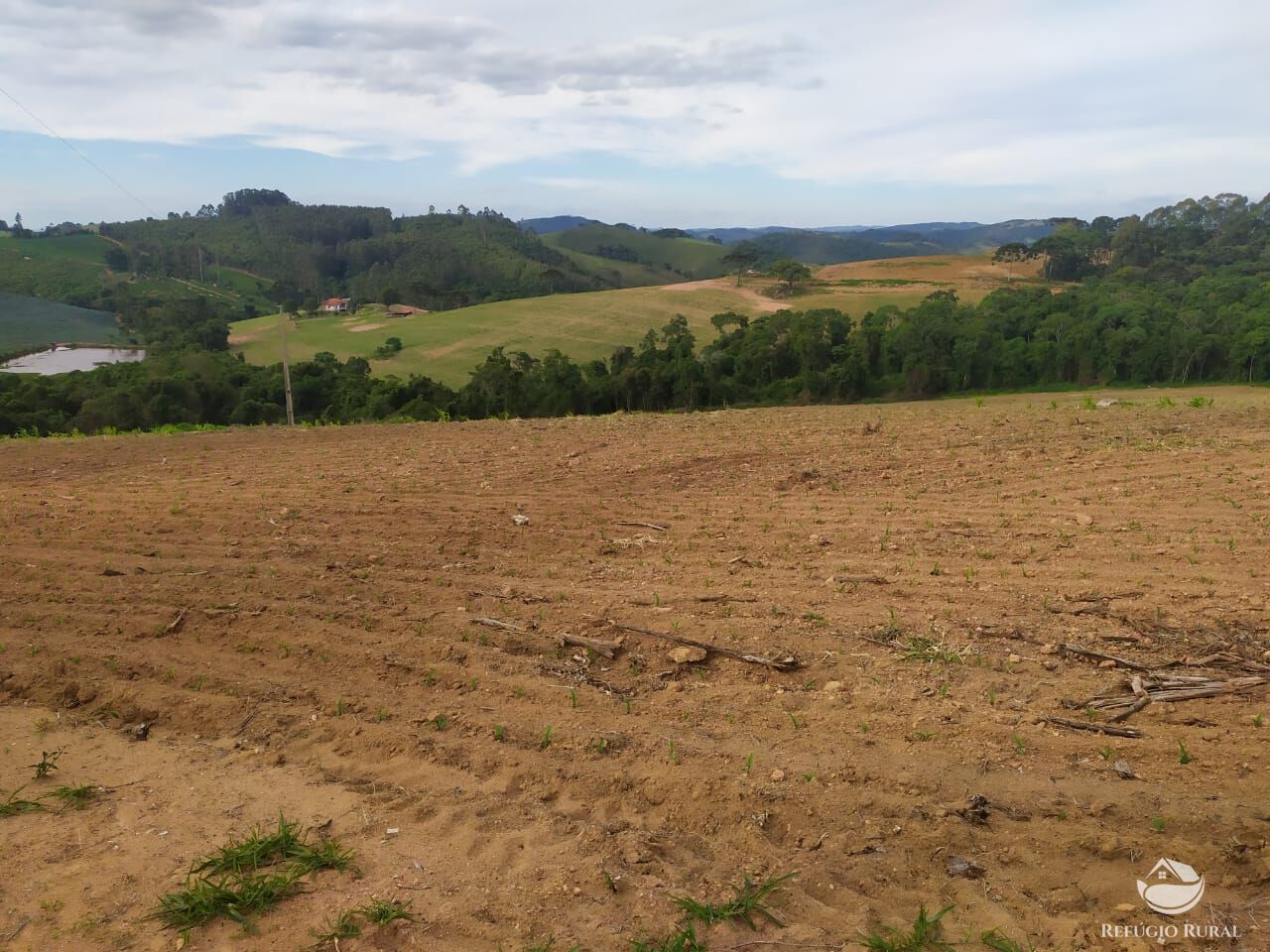 Fazenda à venda com 3 quartos, 1113200m² - Foto 17