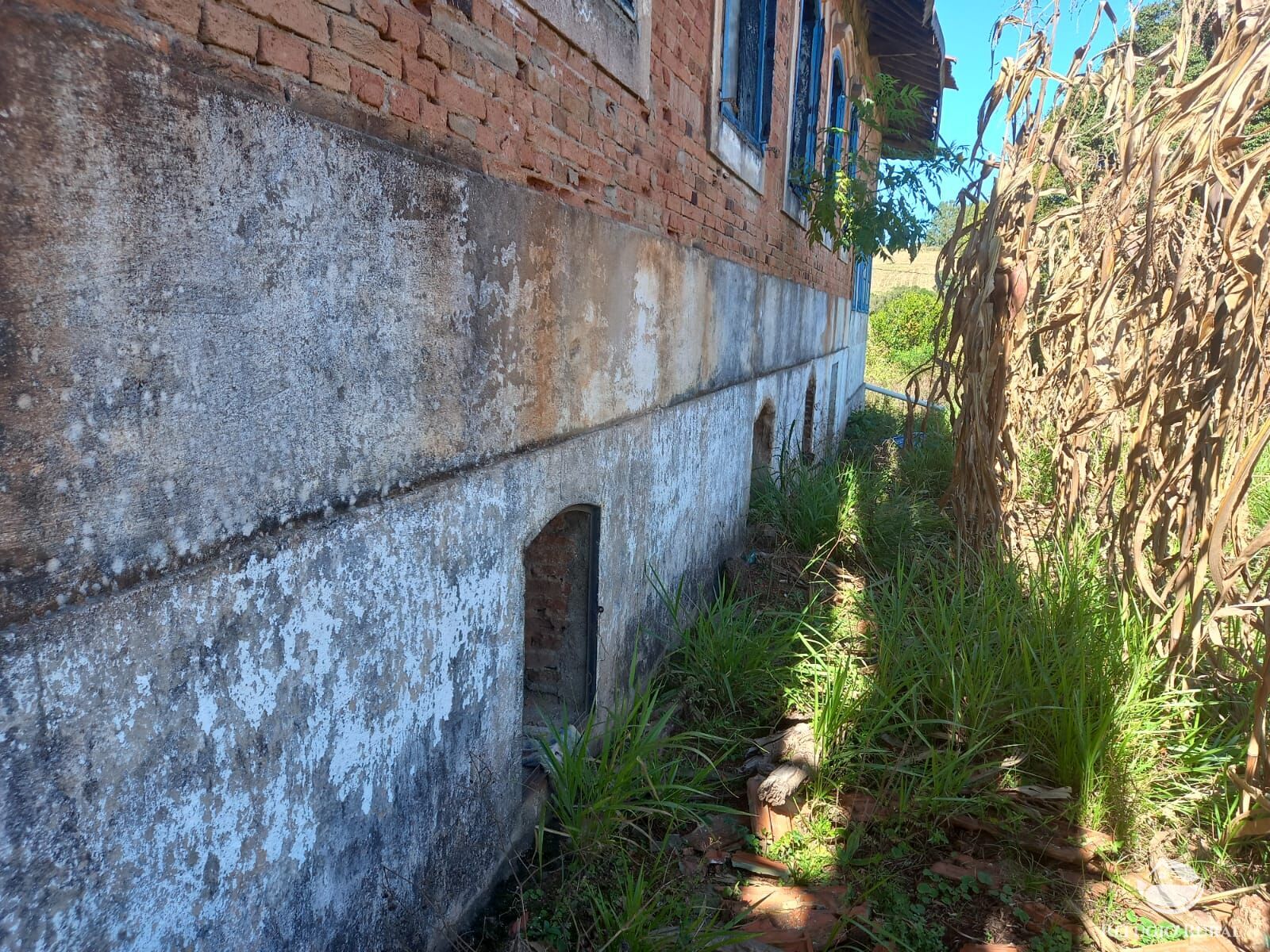 Fazenda à venda com 3 quartos, 1113200m² - Foto 36