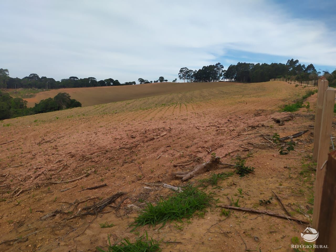 Fazenda à venda com 3 quartos, 1113200m² - Foto 14