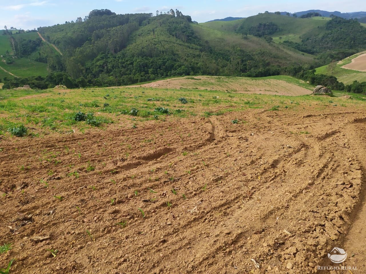 Fazenda à venda com 3 quartos, 1113200m² - Foto 12