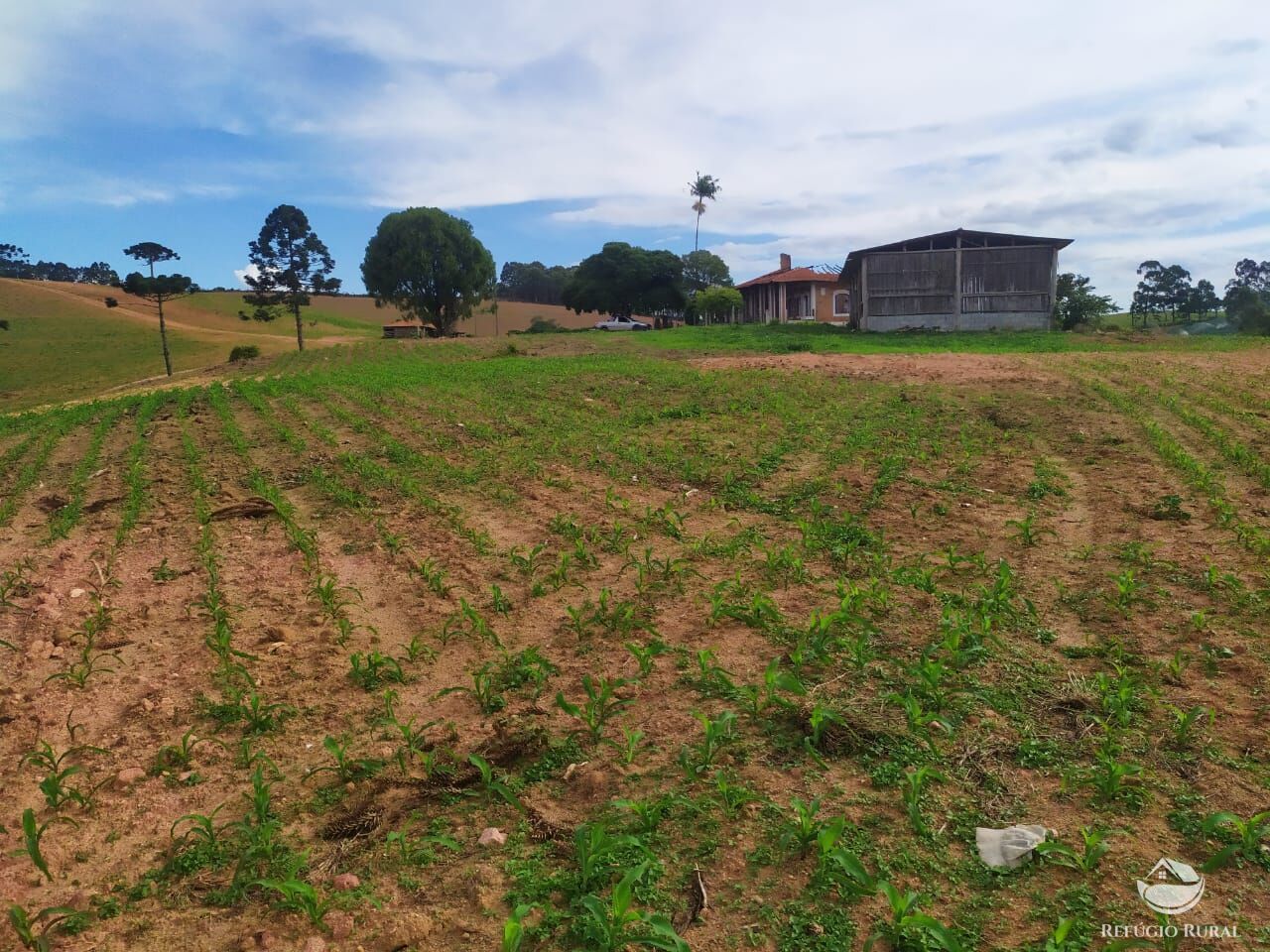 Fazenda à venda com 3 quartos, 1113200m² - Foto 3