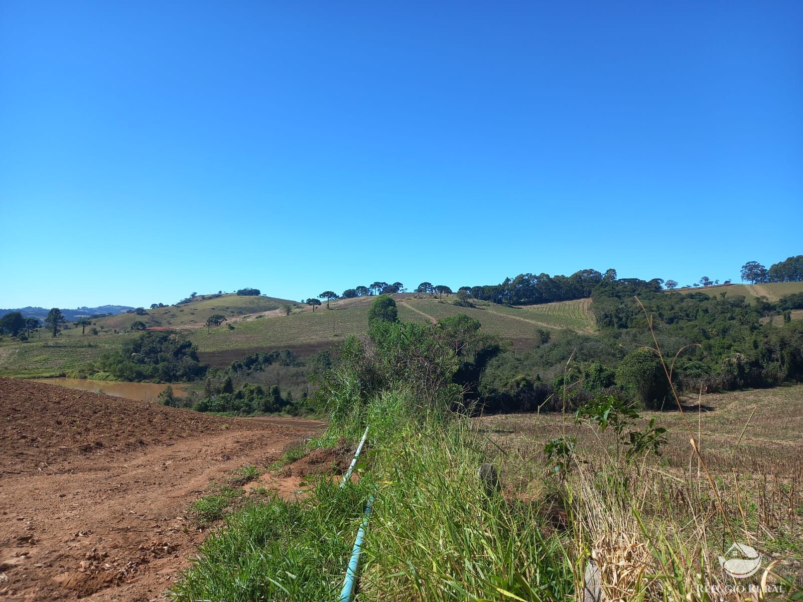 Fazenda à venda com 3 quartos, 1113200m² - Foto 20