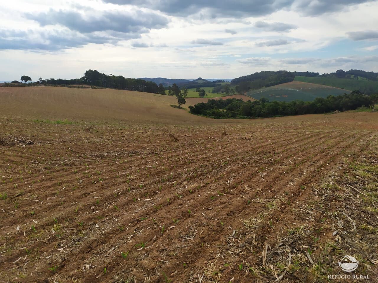 Fazenda à venda com 3 quartos, 1113200m² - Foto 10