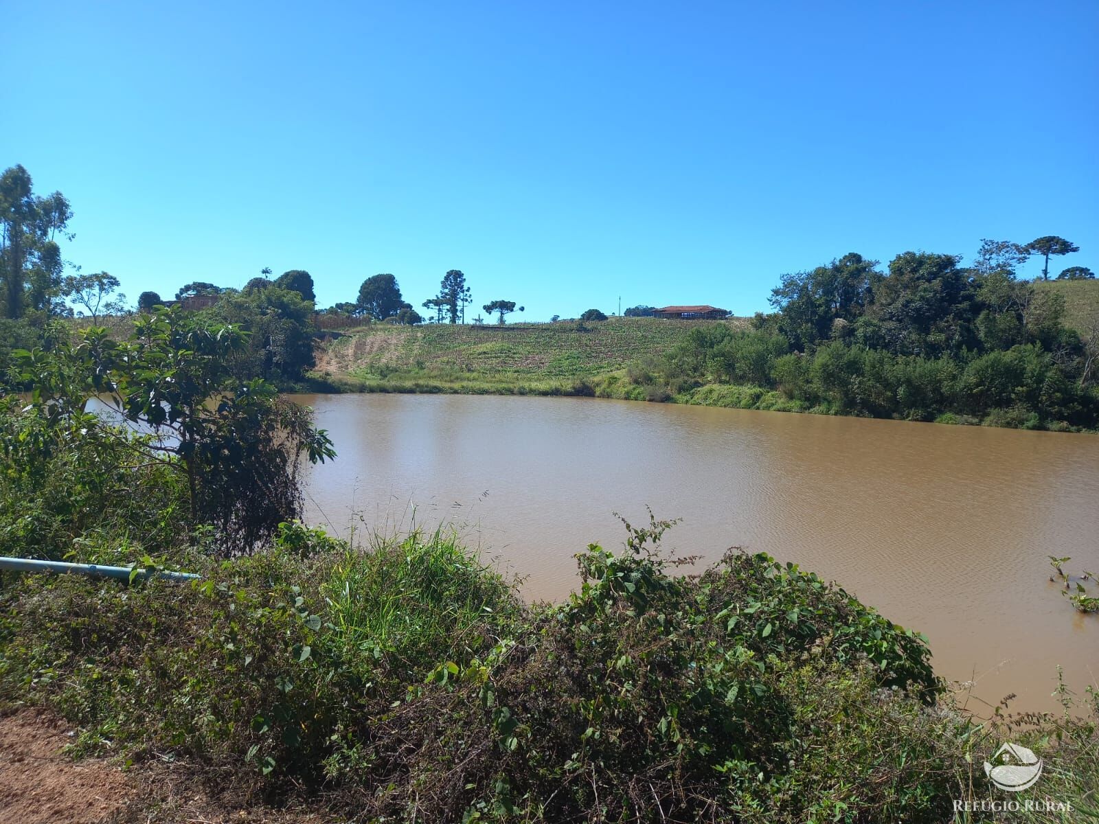 Fazenda à venda com 3 quartos, 1113200m² - Foto 2