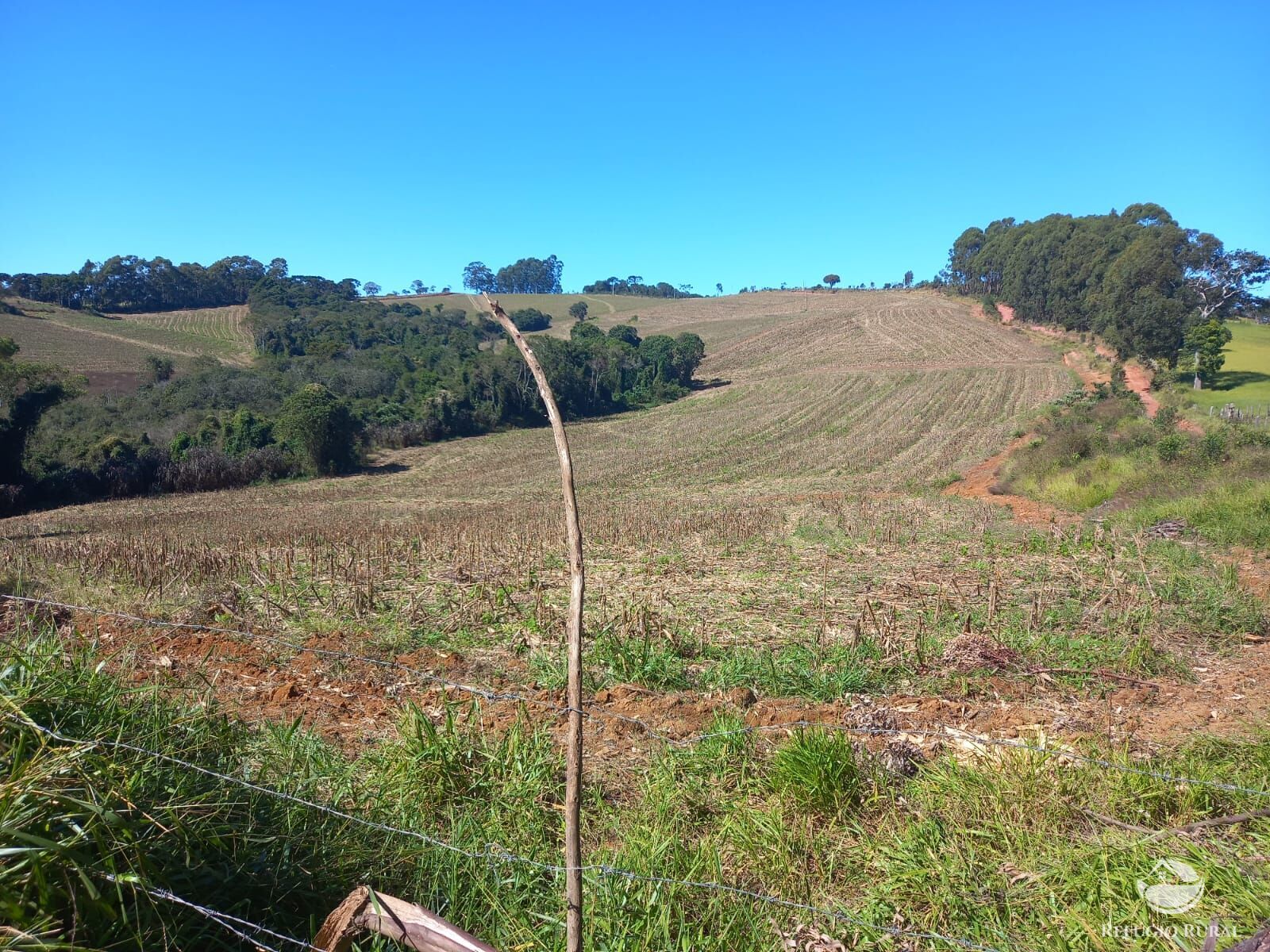 Fazenda à venda com 3 quartos, 1113200m² - Foto 21