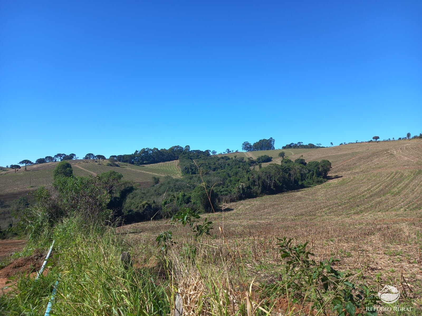 Fazenda à venda com 3 quartos, 1113200m² - Foto 22