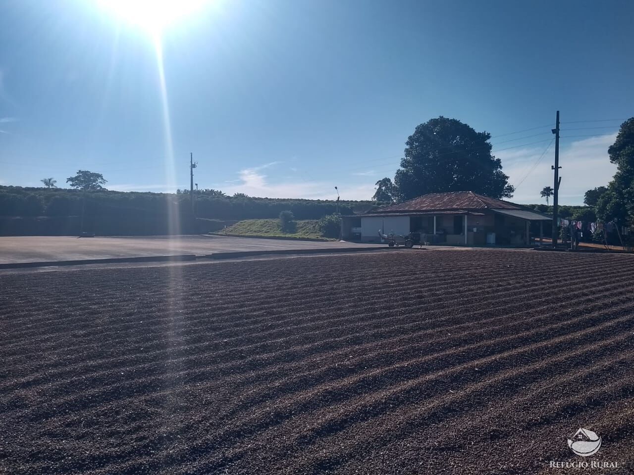 Fazenda à venda com 3 quartos, 533400m² - Foto 3