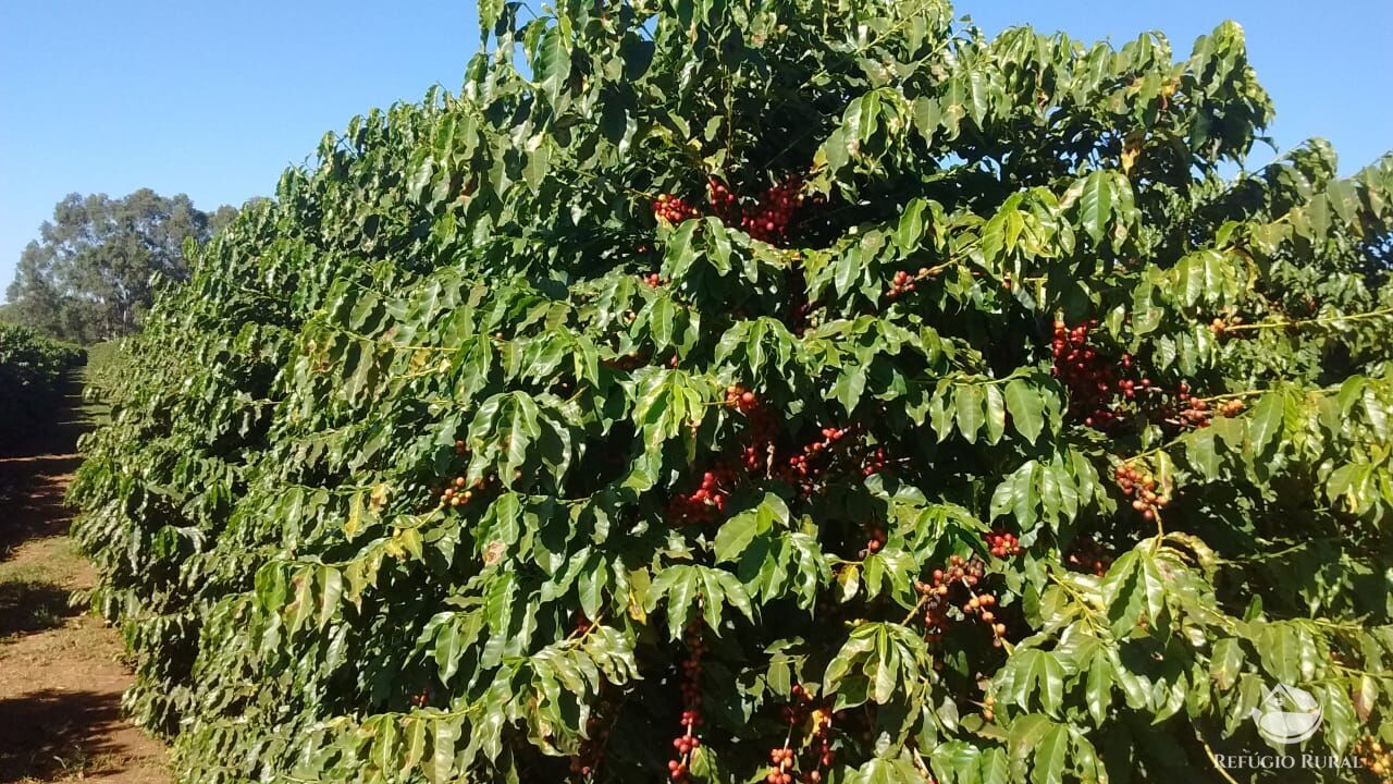 Fazenda à venda com 3 quartos, 533400m² - Foto 5