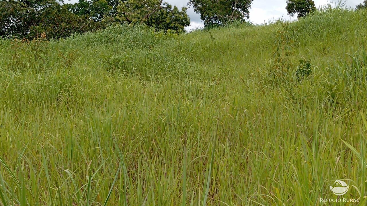 Fazenda à venda com 2 quartos, 3872000m² - Foto 8