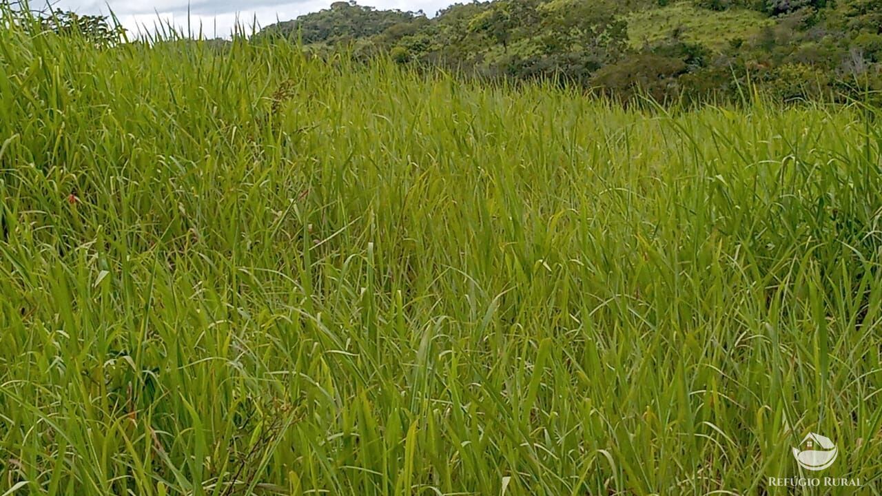 Fazenda à venda com 2 quartos, 3872000m² - Foto 7